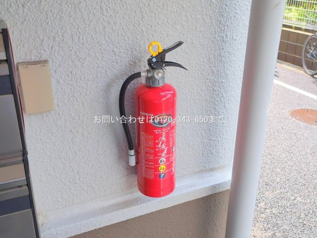 撮影日(2025-07-16 00:00:00)