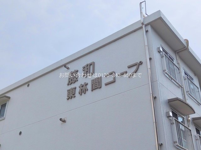 撮影日(2025-07-16 00:00:00)