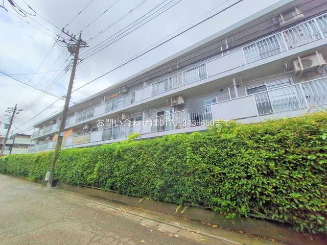 撮影日(2025-07-16 00:00:00)