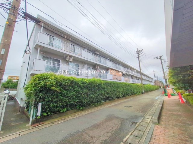 撮影日(2025-07-16 00:00:00)