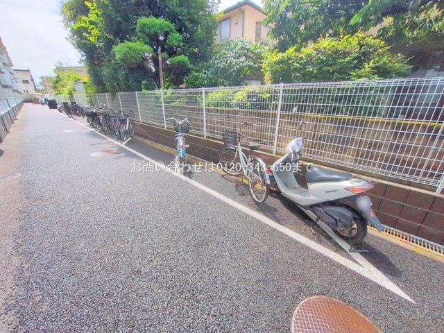 撮影日(2025-07-16 00:00:00)