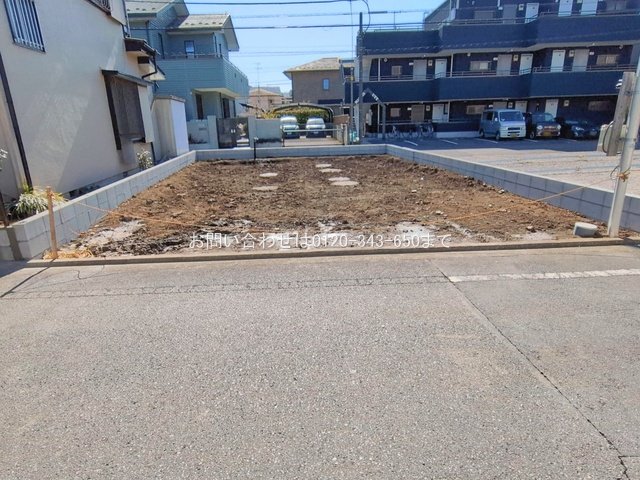 撮影日(2026-02-19 00:00:00)