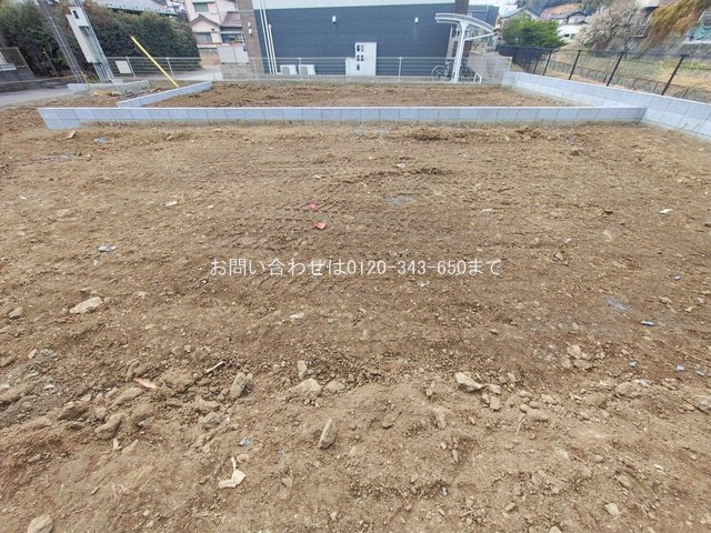 撮影日(2026-02-17 00:00:00)