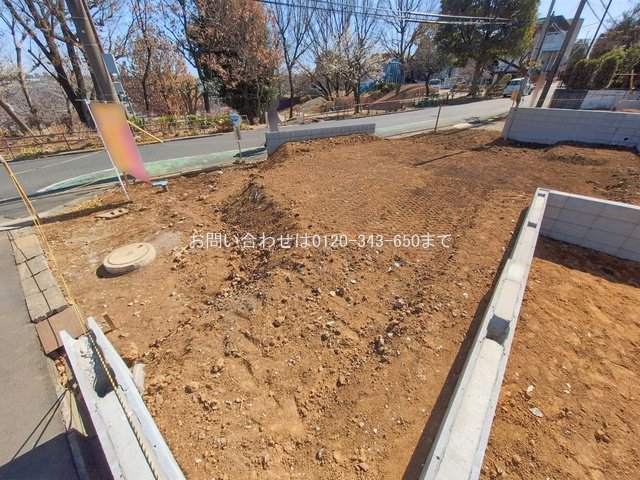 撮影日(2026-02-19 00:00:00)