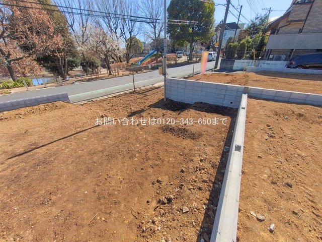 撮影日(2026-02-19 00:00:00)