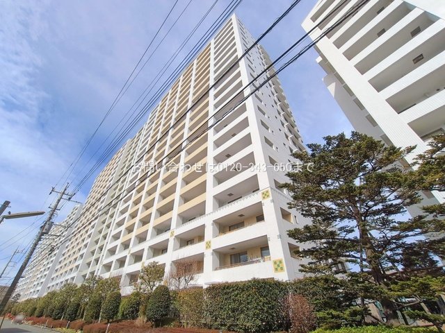 撮影日(2026-02-27)