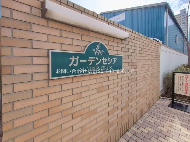 撮影日(2026-02-27 00:00:00)