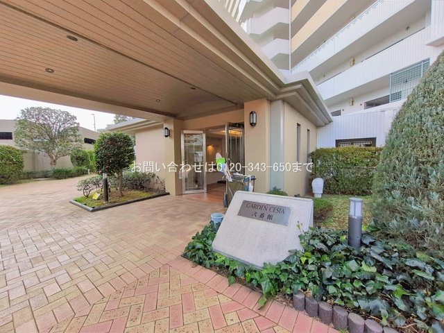 撮影日(2026-02-27)