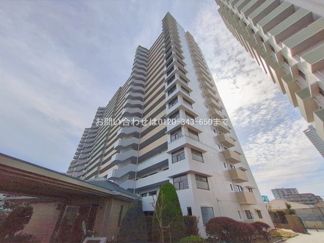 撮影日(2026-02-27 00:00:00)