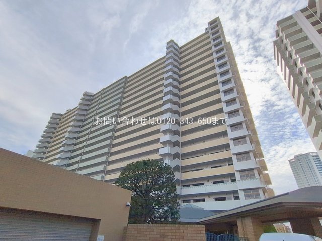 撮影日(2026-02-27 00:00:00)