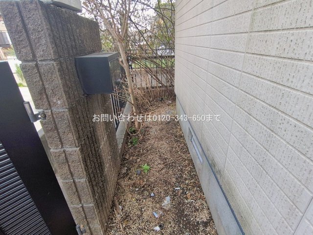 撮影日(2026-02-27 00:00:00)