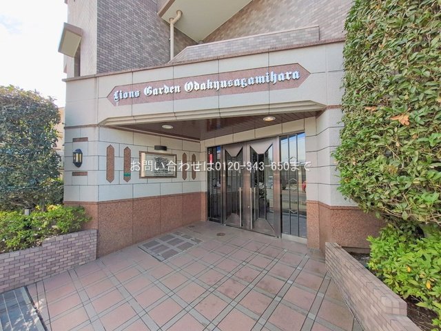 撮影日(2026-02-27)