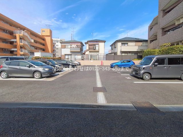 撮影日(2026-02-27 00:00:00)