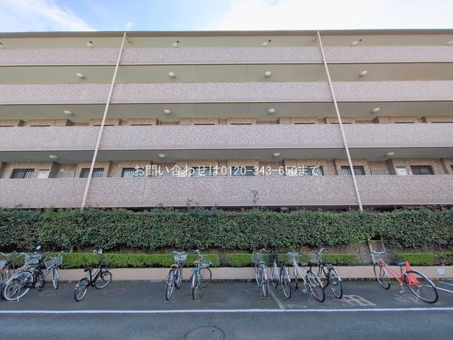 撮影日(2026-02-27 00:00:00)