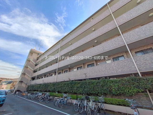 撮影日(2026-02-27 00:00:00)