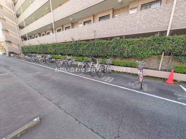 撮影日(2026-02-27 00:00:00)