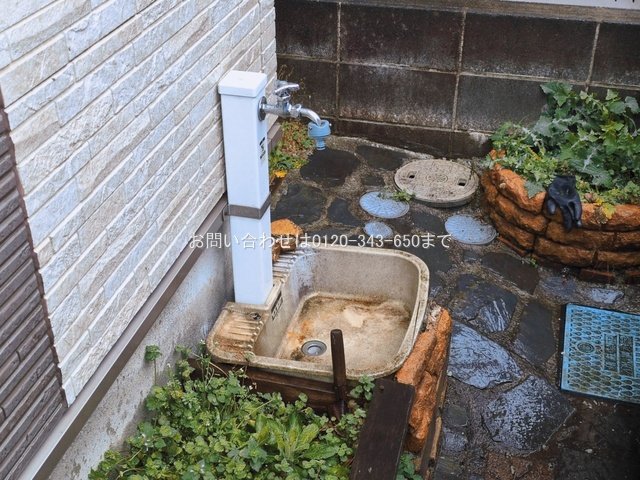 撮影日(2026-03-03 00:00:00)