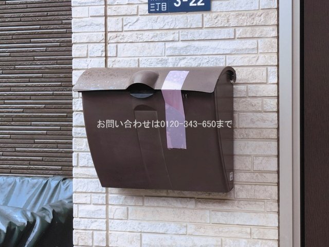 撮影日(2026-03-03 00:00:00)