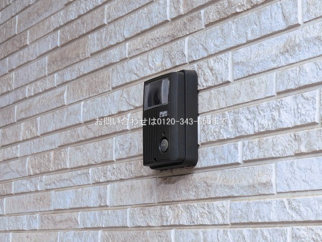 撮影日(2026-03-03 00:00:00)