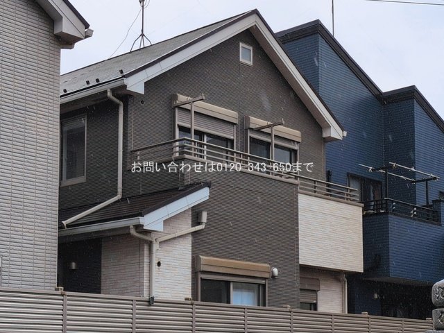 撮影日(2026-03-03 00:00:00)