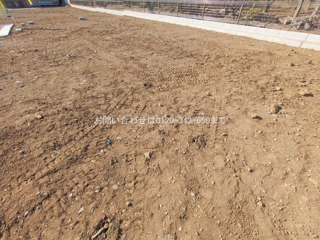 撮影日(2026-01-27 00:00:00)