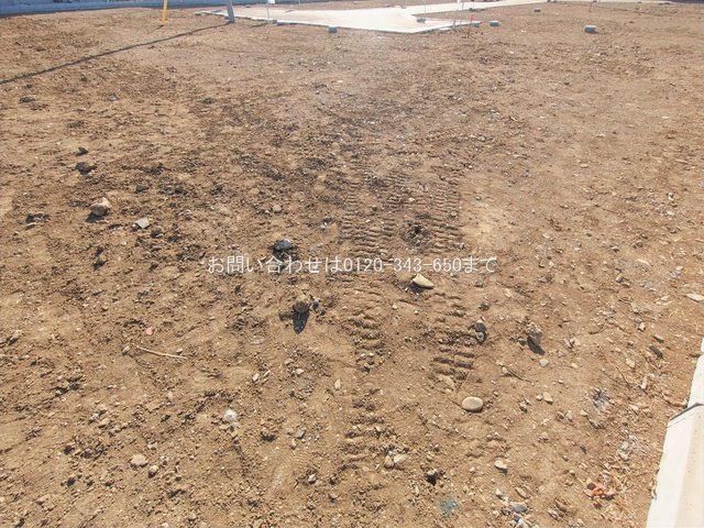 撮影日(2026-01-27 00:00:00)