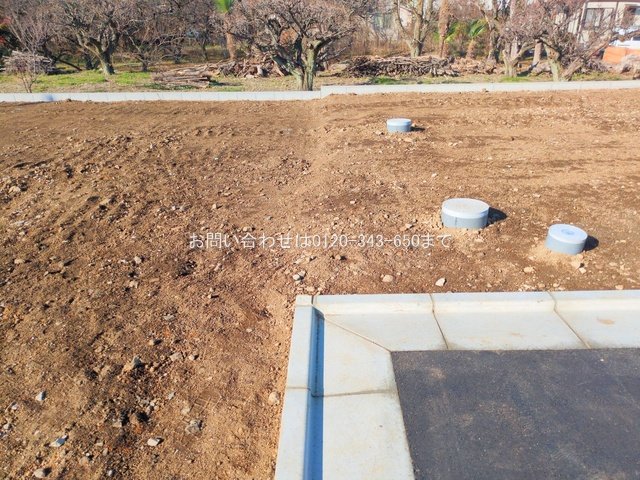 撮影日(2025-12-17 00:00:00)