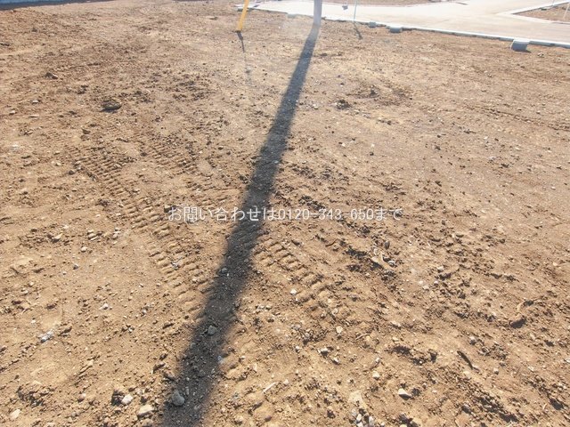 撮影日(2026-01-27 00:00:00)