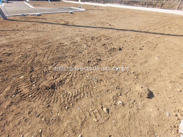 撮影日(2026-01-27 00:00:00)