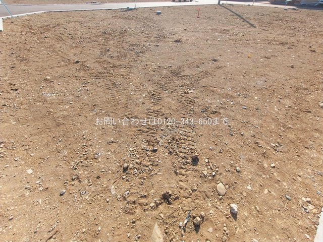 撮影日(2026-01-27 00:00:00)