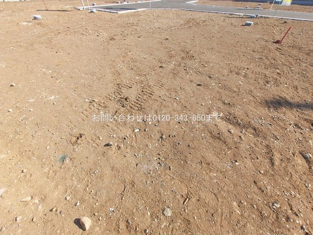 撮影日(2026-01-27 00:00:00)