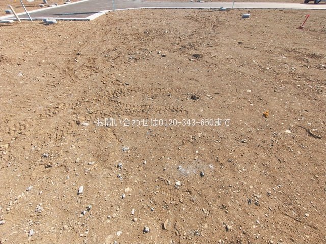 撮影日(2026-01-27 00:00:00)