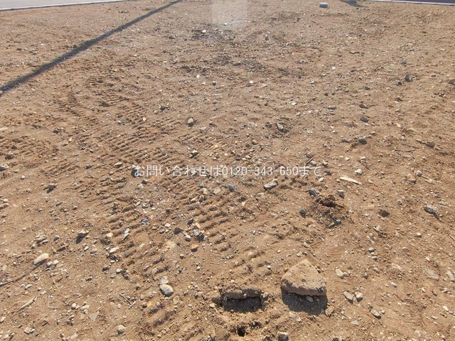 撮影日(2026-01-27 00:00:00)