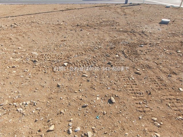 撮影日(2026-01-27 00:00:00)