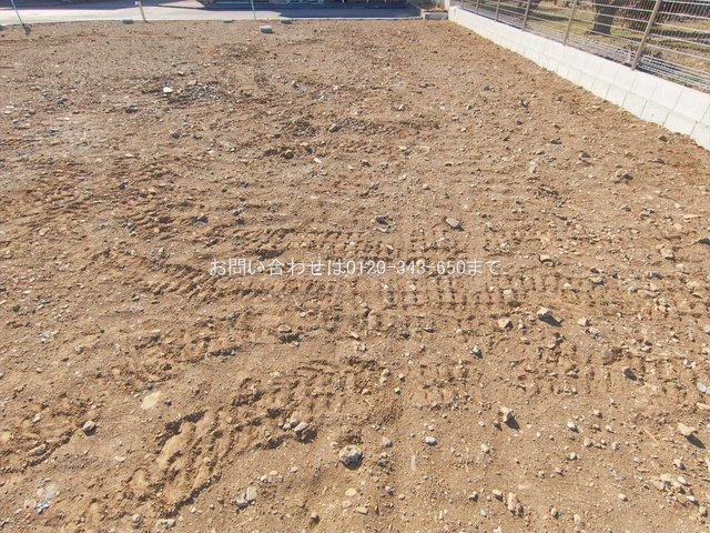 撮影日(2026-01-27 00:00:00)