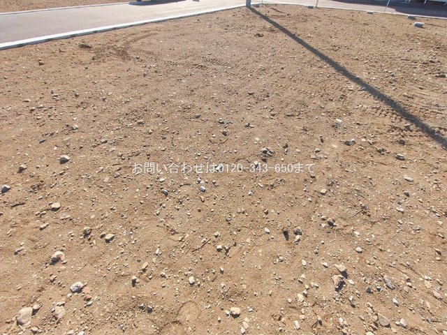 撮影日(2026-01-27 00:00:00)