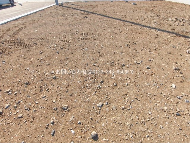 撮影日(2026-01-27 00:00:00)