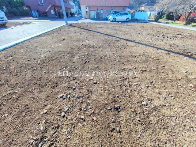 撮影日(2025-12-17 00:00:00)