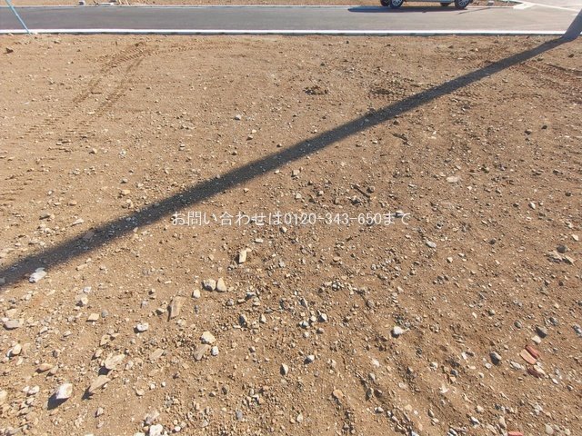 撮影日(2026-01-27 00:00:00)