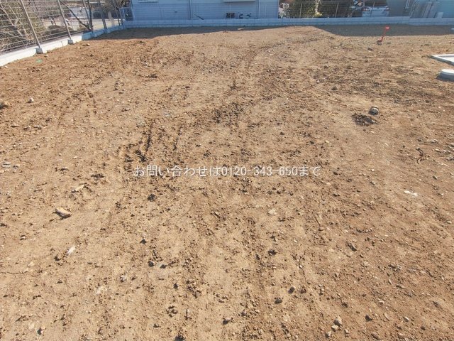 撮影日(2026-01-27 00:00:00)