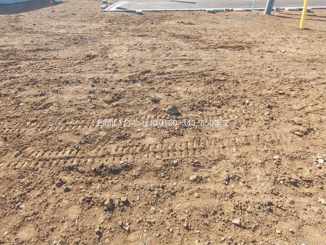 撮影日(2026-01-27 00:00:00)