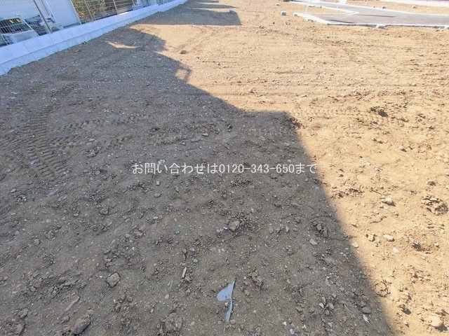 撮影日(2026-01-27 00:00:00)