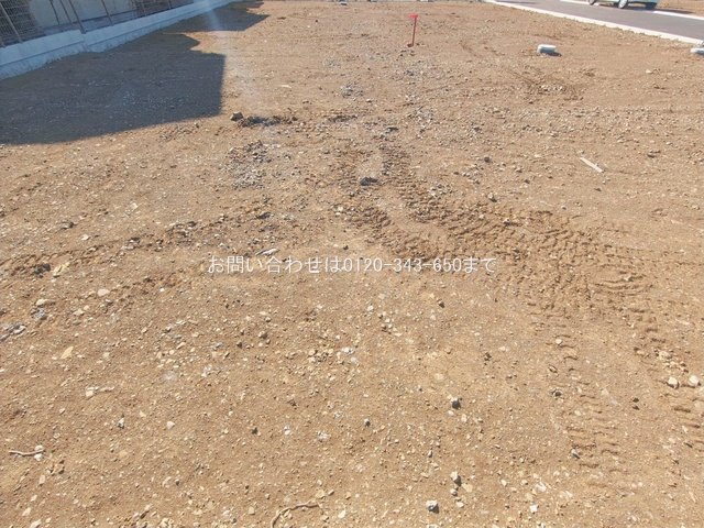 撮影日(2026-01-27 00:00:00)