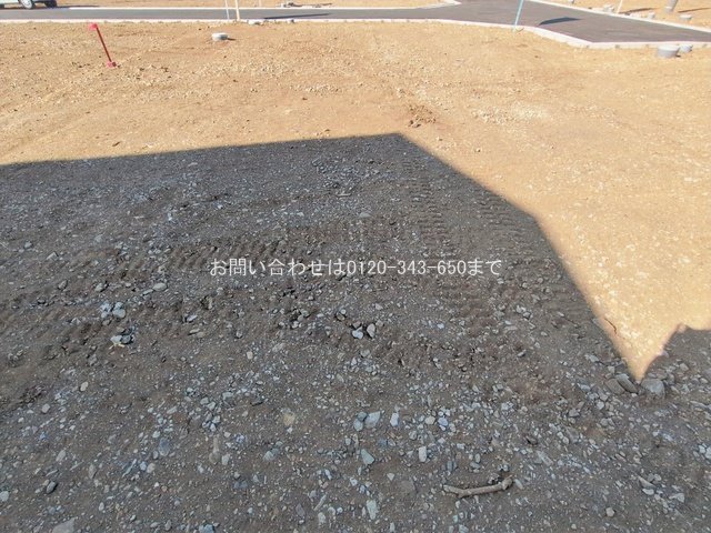 撮影日(2026-01-27 00:00:00)