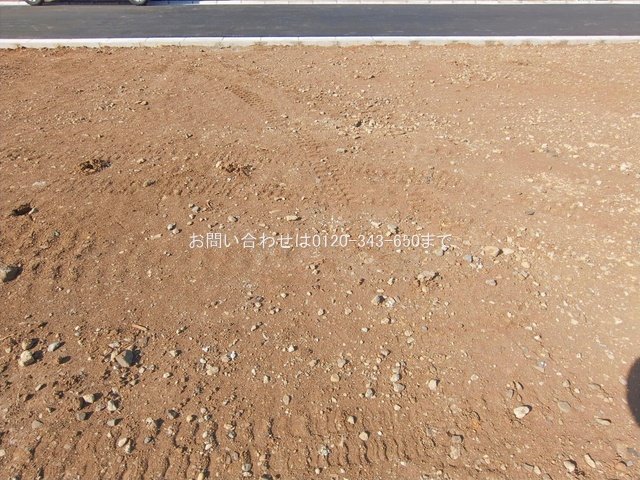 撮影日(2026-01-27 00:00:00)