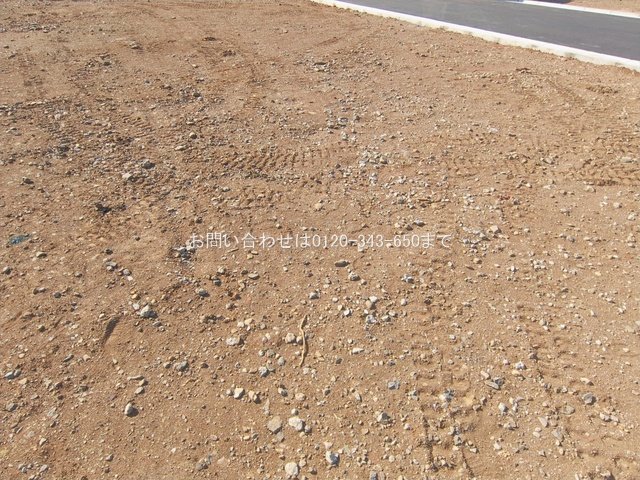 撮影日(2026-01-27 00:00:00)