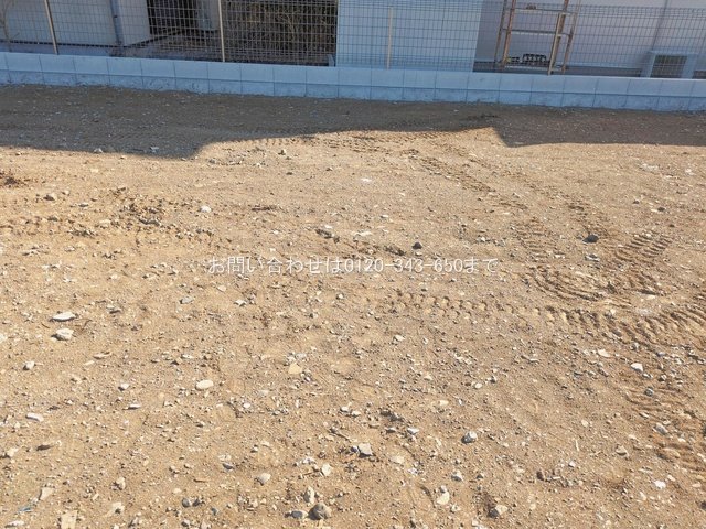 撮影日(2026-01-27 00:00:00)