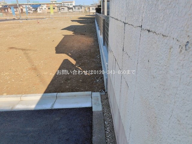 撮影日(2026-01-27 00:00:00)