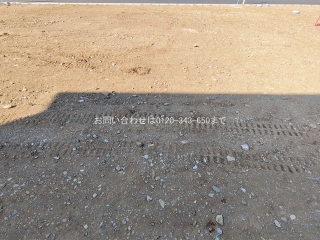 撮影日(2026-01-27 00:00:00)