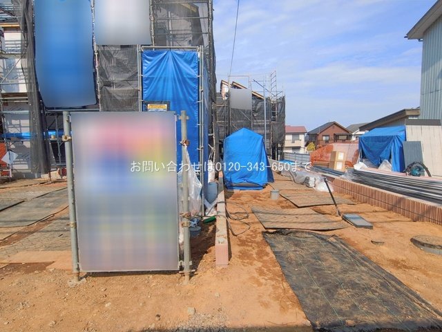 撮影日(2026-02-16 00:00:00)